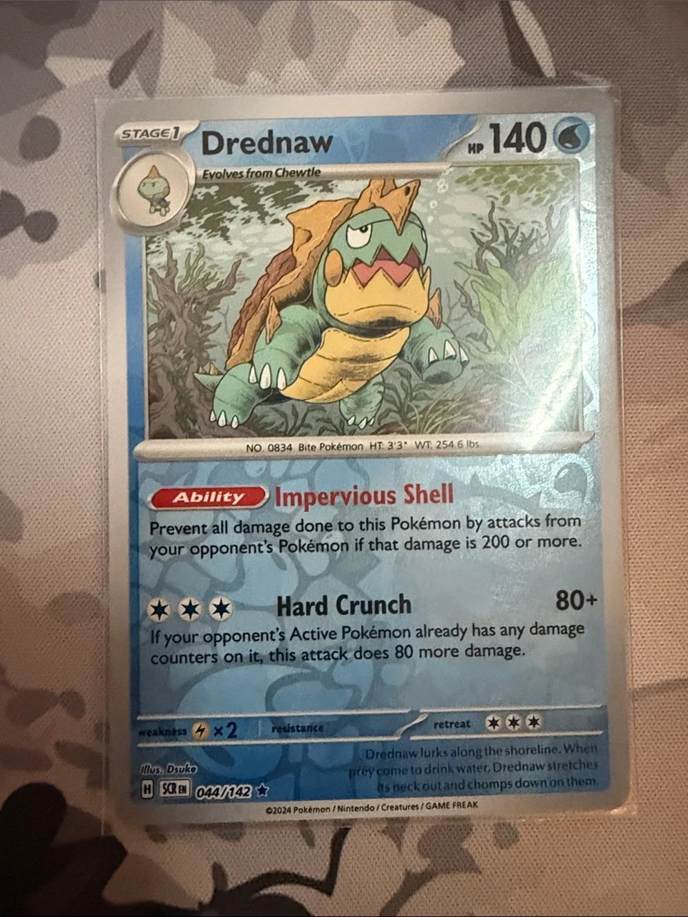 Pokemon fun chewtle